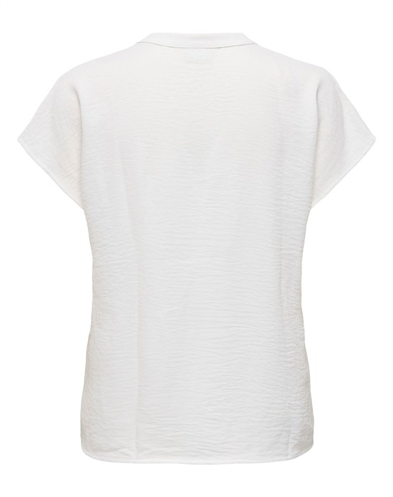 JDYLion Life T-shirt